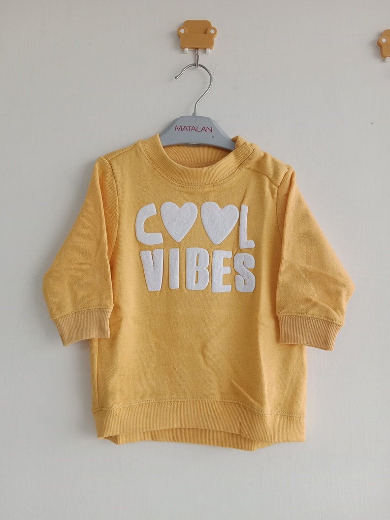 Cool Vibes SweatShirt